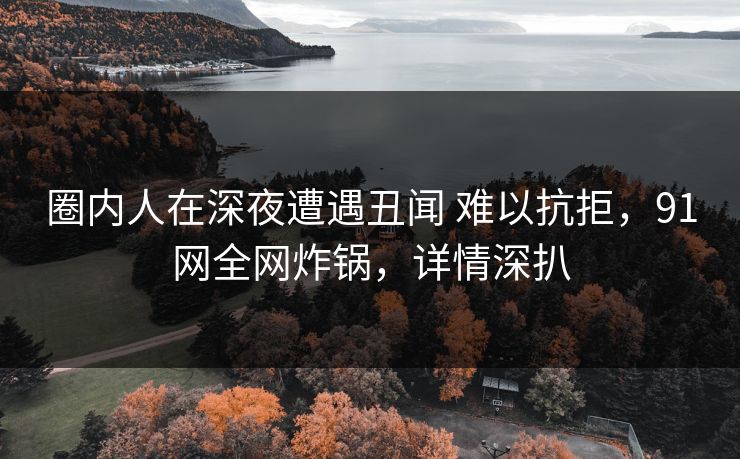 圈内人在深夜遭遇丑闻 难以抗拒，91网全网炸锅，详情深扒