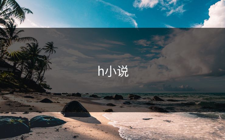 h小说